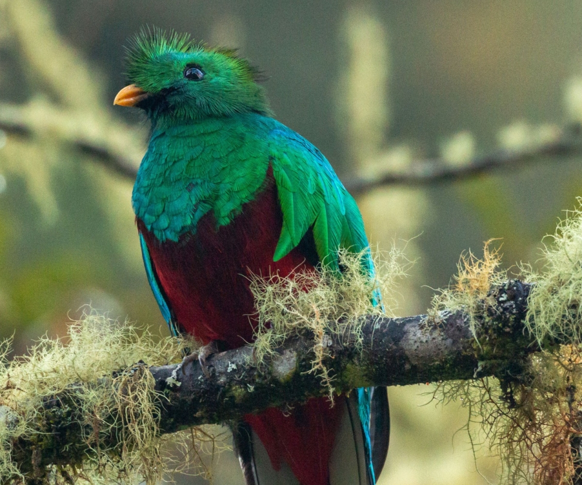 Unternehmer:innen-Café: Biodiversität zählt – Chancen für zukunftsorientierte Unternehmen von Forum for Future
