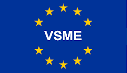 VSME-Report